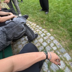 CHICANES QUI RIENT/LUI