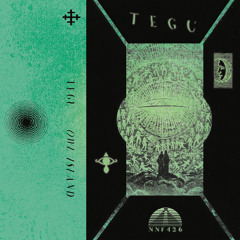 Tegu - 2x12 (feat. Wave Temples) [Not Not Fun]