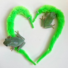 hawtdawganauppacawfee