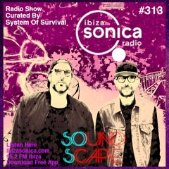 SOundScape #313 System Of Survival
