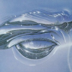 spacemirror