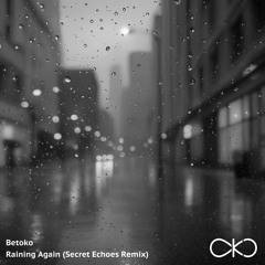Betoko - Raining Again Secret Echoes Remix (OKO Recordings) OUT NOW!