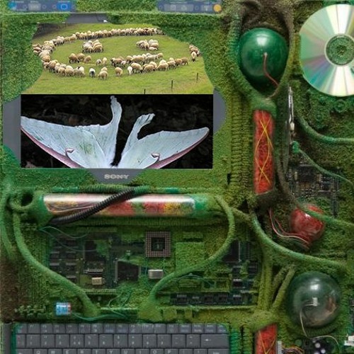 Be Mindful (hook x ulla edit)