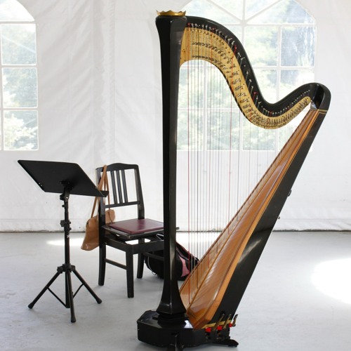 Harp player Janice Nash