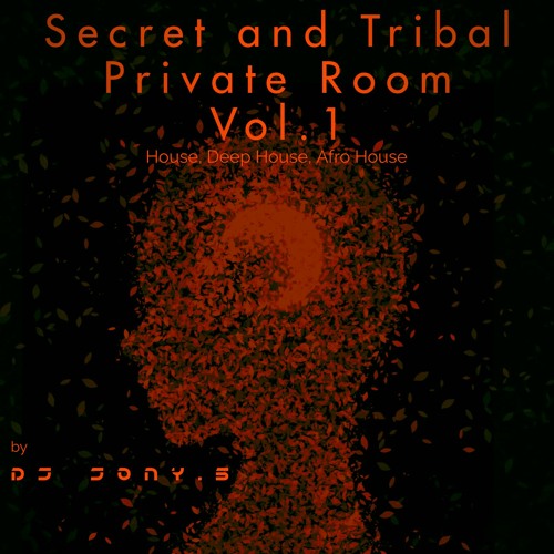 Secret And Tribal Private Room Vol.1 By Dj Jony.S (House, Deep House, Afro House) (Set.2023)