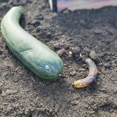 Ziegenpups & Eisenwurst