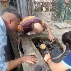 Marcos Arezo-Dengue: trabajan en la eliminación de criaderos con controles focales en Río Negro