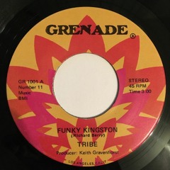 Tribe - Funky Kingston (Pimpin Willie 12 Inched Regroove)