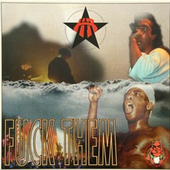 Fuck Them (Undercover Anarchist RMX)