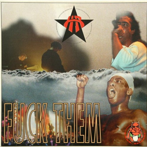 Fuck Them (Undercover Anarchist RMX)