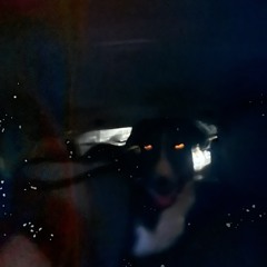 Night Road