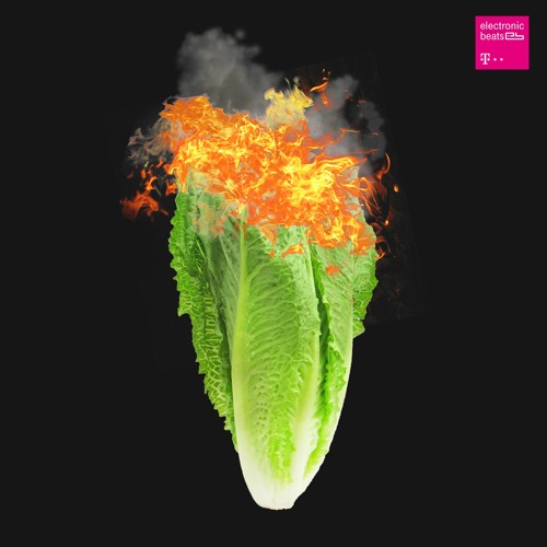4/20 Mix by DJ Paypal
