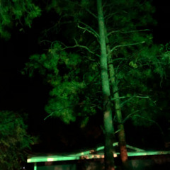Green Deep