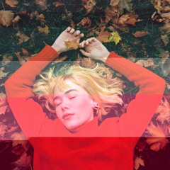 girl in red - we fell in love in october (WAKE UP SERG REMIX)