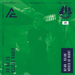 Voices At Night 08.02.25