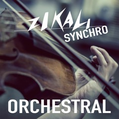 INACCESSIBLE - ZIKALI SYNCHRO