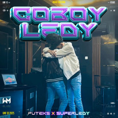 COBOY LEDY ( PUTEKS X SUPERLEDY ) #SUKOJE