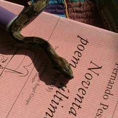 Tor Rivera "Dulce nada"