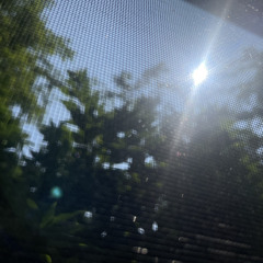 summer 2023 002