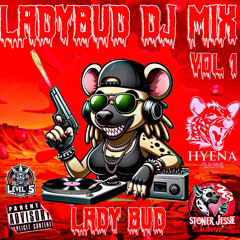 Lady Bud DJ MIX