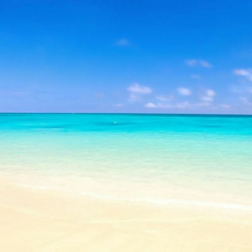 (Kamasootra audio background FREE DOWNLOAD