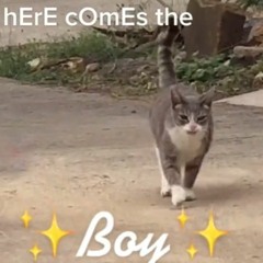 here comes the ✨BOY✨