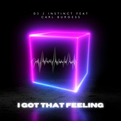 Dj J Instinct - I Got That Feeling Feat. Carl Burgess