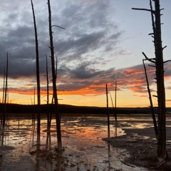 space (madi sipes & the painted blue cover)