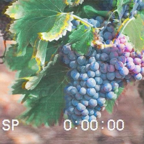 Wilder Wein (Cover Excerpt / Original Synths)