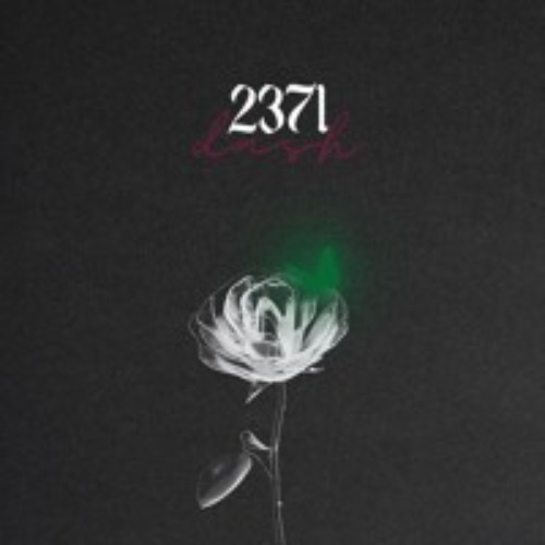 Dash - 2371 - 20th May 2024