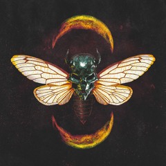 Cicada Skank