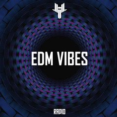 EDM Vibes 2025  Electronic & House Music | lickndip | chamoybaby