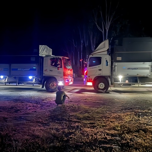 🚀NST 2K25🚀 DJ QUA NHẠC NGƯỜI NGHE QUA ĐỜI - NTT✈️.WAV