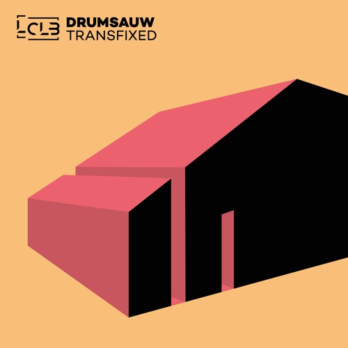 Drumsauw - Transfixed (Original Mix)