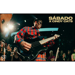 CINDY CATS - SABADO (DIVIDIDOS)