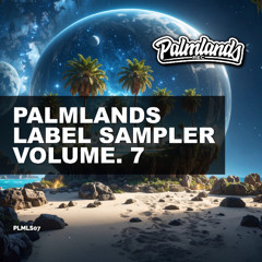 Purple Palms - About the Dark Side (Krumm & Schief Remix) [Palmlands Records]