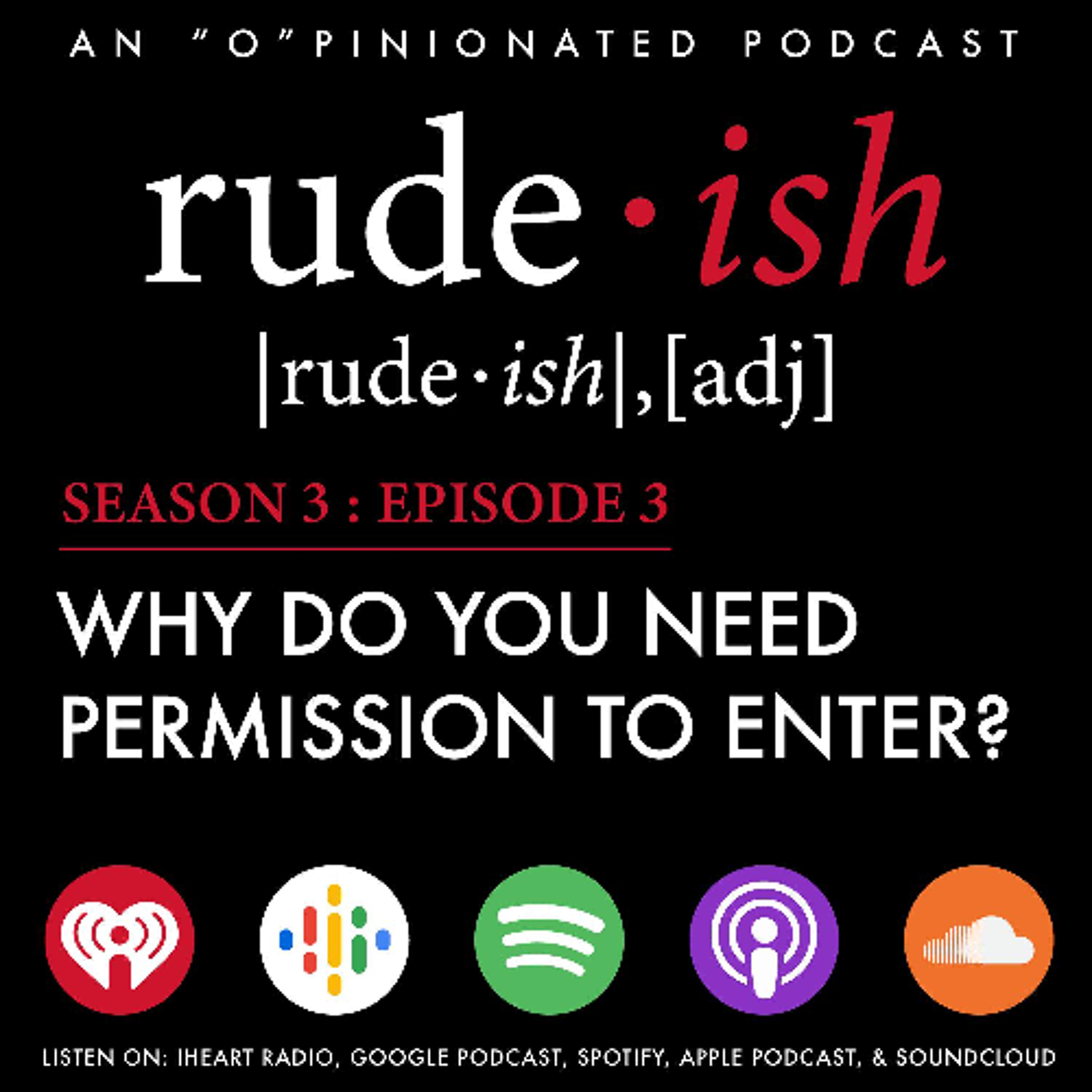 Why Do You Need Permission To Enter? episode artwork