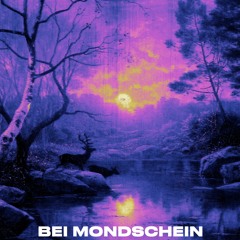 Bei Mondschein