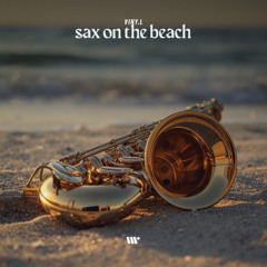 Viny.L - Sax On The Beach (teaser) - OUT 31st Oct - DNBB Records / Liquid Flow