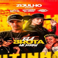 MC VITINHO DA SERRA - ELA BROTA NA SERRA ( DJ GABRIEL DO BPM & DJ DRESCH DA CAIXA )