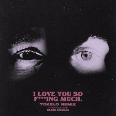 Glass Animals - A Tear in Space (TOKELO Remix)