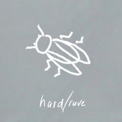 hard/rave