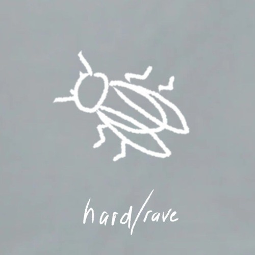 hard/rave