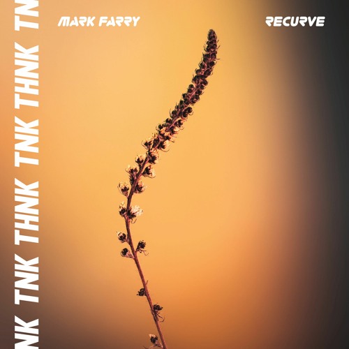 Mark Farry - Recurve [THNK TNK Records]