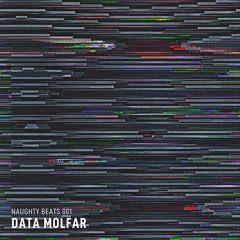 NAUGHTY BEATS 001  –  DATA MOLFAR