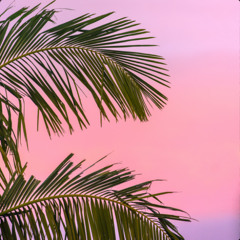 Daydreams