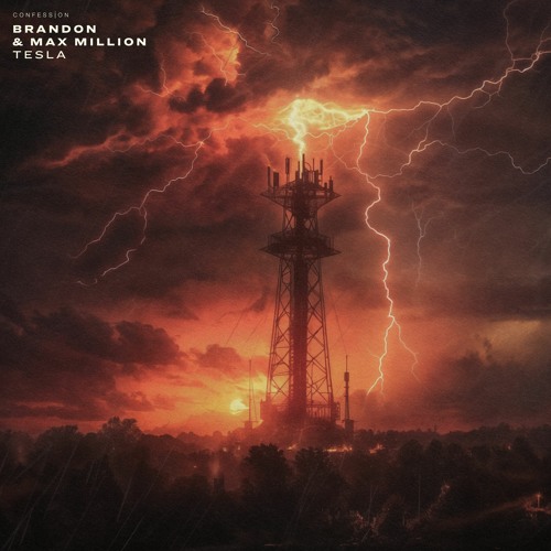BRANDON & Max Million - Tesla