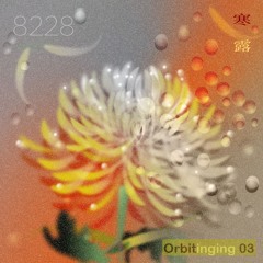 Orbitinging 03 - 8228
