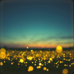 Matthew That - Light Rays (EDM mix)