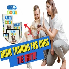 BRAIN GAMES FOR DOGS REVIEW: Don't Buy Until You Read This‎ | Turn Your Dog into a Genius!